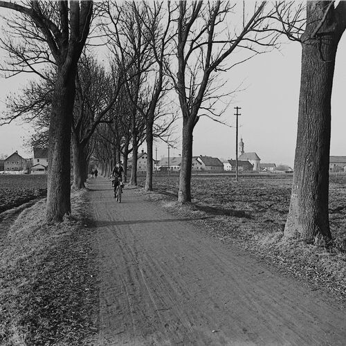 Allee nach Kagers, um 1949 (Stadtarchiv Straubing Foto Wladislaw Szablinski 195)
