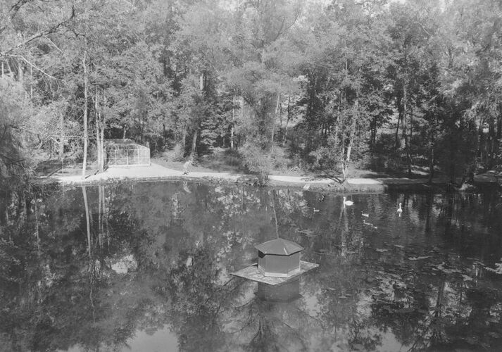 Teichanlage mit Schwänen im Tiergarten, um 1941 (Stadtarchiv Straubing Allgemeine Fotosammlung 116-100/1/3/1/2)
